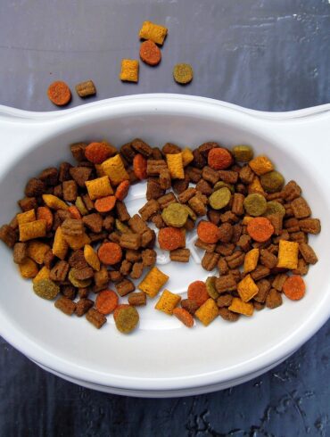 As a pet owner, ensuring your dog leads a healthy and happy life is always a top priority. A significant part of this responsibility lies in providing them with the right nutrition. When it comes to feeding your dog, the quality of their food plays a crucial role in their overall health and vitality. Thrive Dog Food, a brand that focuses on premium, natural ingredients, offers a holistic approach to nourishing your pet from the inside out. Here’s how Thrive is revolutionising dog food in the UK, one bowl at a time.