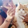 Dans le monde en évolution rapide de la santé des animaux de compagnie, Ellevet Sciences s’impose comme un pionnier dans l’intégration du CBD (cannabidiol) dans les pratiques vétérinaires. Cette entreprise innovante a attiré l’attention internationale, y compris en France, pour son travail révolutionnaire dans l’utilisation du CBD pour améliorer la santé et le bien-être des animaux de compagnie. Grâce à des recherches et des essais cliniques rigoureux, Ellevet Sciences s'est imposée comme un leader dans ce créneau, proposant des produits CBD scientifiquement soutenus qui apportent de réels bienfaits aux animaux. Cet article explore comment Ellevet Sciences est pionnière dans l’utilisation du CBD pour les animaux de compagnie, révolutionnant les approches de la douleur, de l’anxiété et de la gestion globale de la santé des animaux.