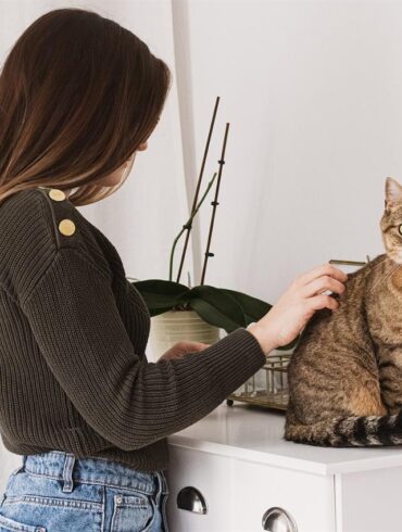En tant que propriétaire d'un animal de compagnie, il est naturel de s'inquiéter pour votre ami à quatre pattes lorsque vous n'êtes pas à la maison. Que vous soyez au travail, en voyage ou simplement en train de faire des courses, laisser votre animal derrière vous peut être stressant, tant pour vous que pour votre animal. Mais grâce à Furbo, la caméra innovante pour animaux de compagnie, vous n'avez plus à vous inquiéter. Furbo révolutionne la façon dont nous restons connectés avec nos animaux de compagnie, en offrant une solution complète pour surveiller leur bien-être et leur offrir du confort, même lorsque vous n'êtes pas là.