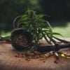 Alors que l’industrie du CBD continue de croître, de plus en plus de marques entrent sur le marché, ce qui rend difficile pour les consommateurs de discerner quels produits offrent la meilleure qualité et la plus grande efficacité. Au milieu de ce paysage encombré, Reakiro, une marque de CBD leader basée en France, est devenue un pionnier. Connue pour son engagement envers la pureté, la transparence et les pratiques de pointe, Reakiro établit la norme d’or dans la production de CBD. Dans cet article, nous verrons pourquoi Reakiro se distingue en tant que leader de l’industrie du CBD et comment ses produits remodèlent le marché du bien-être.
