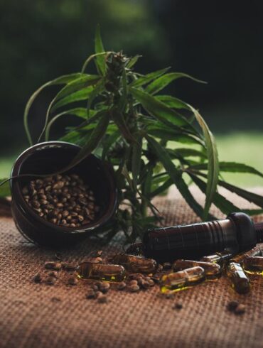 Alors que l’industrie du CBD continue de croître, de plus en plus de marques entrent sur le marché, ce qui rend difficile pour les consommateurs de discerner quels produits offrent la meilleure qualité et la plus grande efficacité. Au milieu de ce paysage encombré, Reakiro, une marque de CBD leader basée en France, est devenue un pionnier. Connue pour son engagement envers la pureté, la transparence et les pratiques de pointe, Reakiro établit la norme d’or dans la production de CBD. Dans cet article, nous verrons pourquoi Reakiro se distingue en tant que leader de l’industrie du CBD et comment ses produits remodèlent le marché du bien-être.