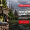 Kalosze do domu, ogrodu i na działkę z oferty Demar24