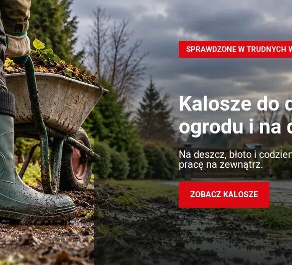 Kalosze do domu, ogrodu i na działkę z oferty Demar24
