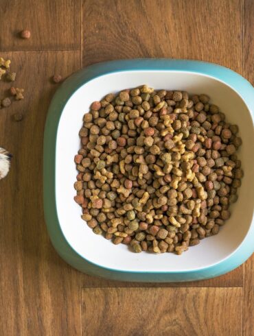 As dog owners, we all want the best for our furry friends. One of the most important decisions we make is choosing the right food to keep them healthy, happy, and full of energy. With so many dog food brands on the market, it can be overwhelming to know where to start. However, when it comes to ensuring your dog’s long-term health and vitality, Thrive Dog Food stands out as a clear leader. Thrive Dog Food is more than just a brand – it’s a commitment to providing your dog with the highest quality, natural ingredients to support every aspect of their wellbeing. If you’re looking for a dog food that focuses on your pet’s health, energy, and overall vitality, here are the key reasons why Thrive is the best choice for your four-legged companion.