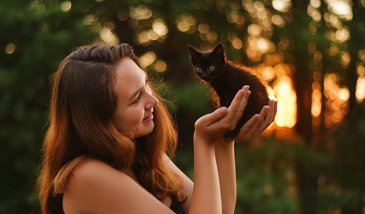 Zampe e artigli: come RobinsonPetShop.it sta ridefinendo la cura degli animali domestici in Italia