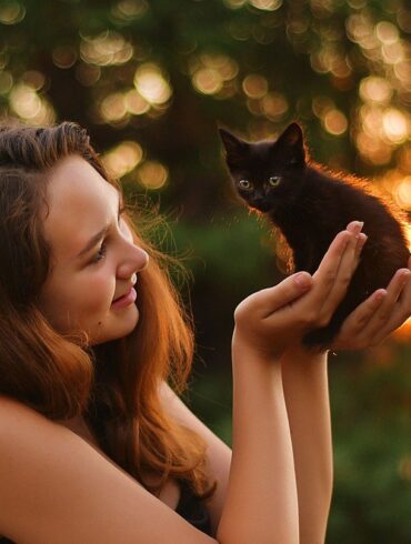 Zampe e artigli: come RobinsonPetShop.it sta ridefinendo la cura degli animali domestici in Italia