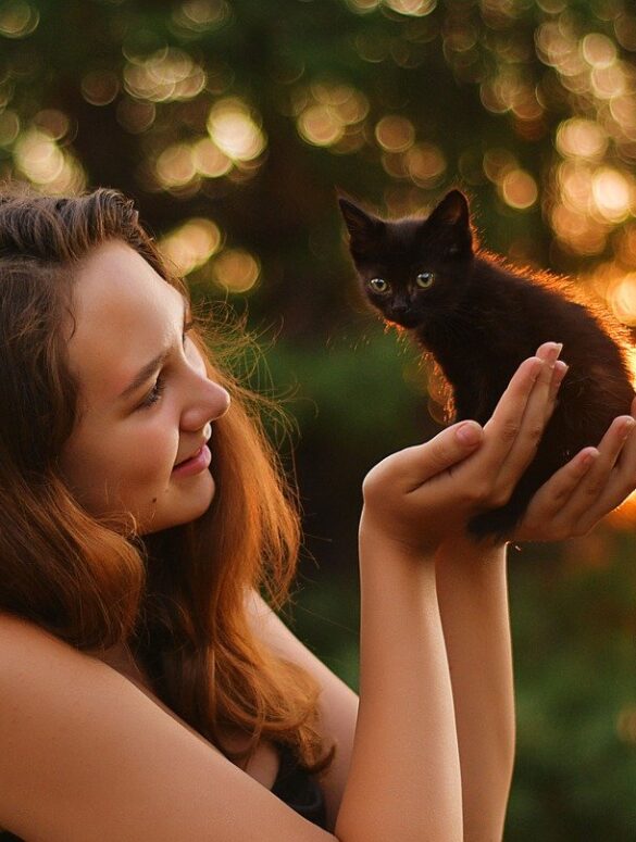 Zampe e artigli: come RobinsonPetShop.it sta ridefinendo la cura degli animali domestici in Italia