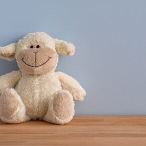 À une époque où le développement durable devient un élément essentiel de la vie quotidienne, les parents et les personnes qui s'occupent d'eux recherchent des alternatives aux jouets et produits pour bébés traditionnels fabriqués en série. Ils recherchent des articles qui sont non seulement sûrs pour leurs enfants, mais qui ont également un impact positif sur l'environnement. En Belgique et au-delà, Ekobutiks ouvre la voie à une transformation de notre façon de penser le temps de jeu et les soins aux bébés. Fortement engagé en faveur du développement durable, Ekobutiks propose des jouets en bois durables et des produits pour bébés biologiques qui privilégient la qualité, la sécurité et la planète.